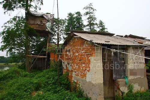 �ݺ���¥�а��׸�